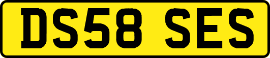 DS58SES