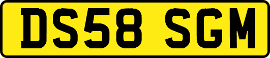 DS58SGM