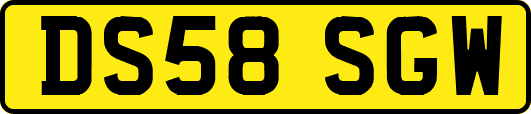DS58SGW