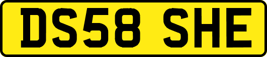 DS58SHE