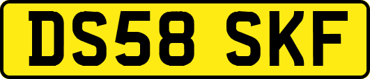DS58SKF