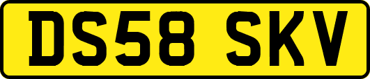 DS58SKV