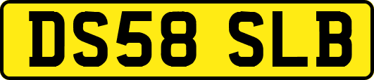 DS58SLB