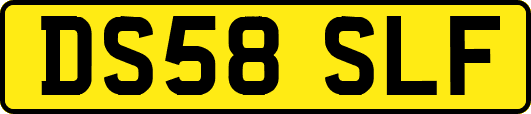 DS58SLF