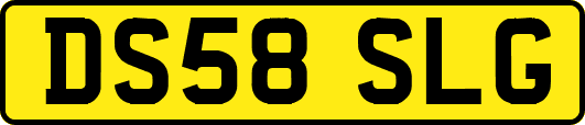 DS58SLG