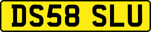 DS58SLU