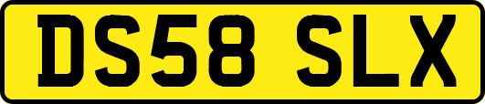 DS58SLX