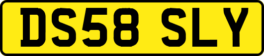 DS58SLY