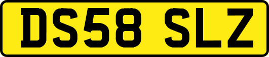 DS58SLZ