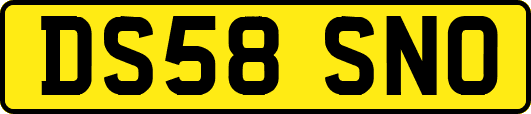 DS58SNO