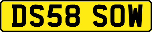 DS58SOW