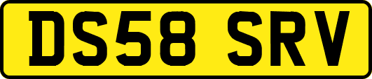 DS58SRV
