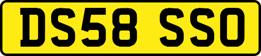 DS58SSO