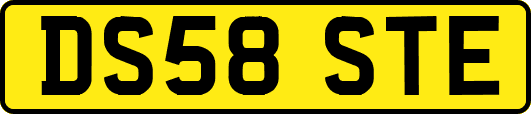 DS58STE