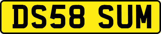 DS58SUM
