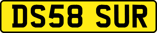 DS58SUR