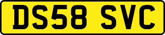 DS58SVC
