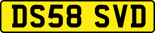 DS58SVD