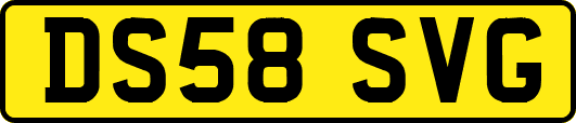 DS58SVG