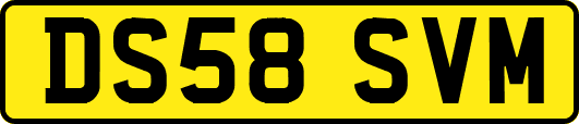 DS58SVM