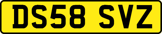 DS58SVZ