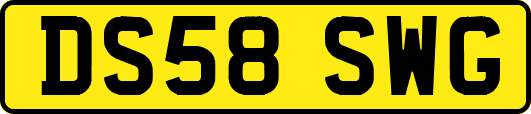 DS58SWG
