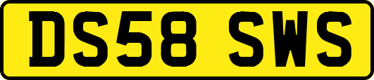 DS58SWS