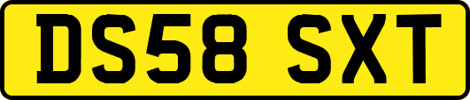 DS58SXT