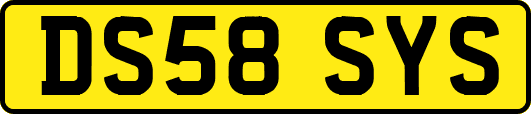 DS58SYS