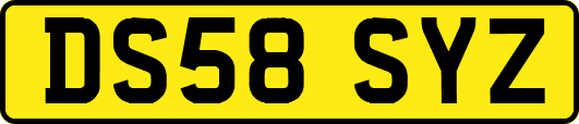 DS58SYZ