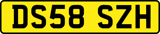 DS58SZH