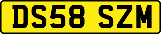 DS58SZM