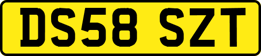 DS58SZT