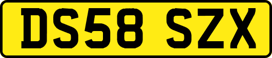 DS58SZX