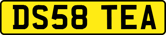DS58TEA