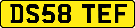 DS58TEF