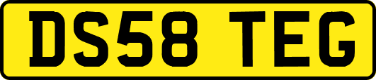 DS58TEG