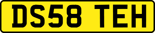 DS58TEH