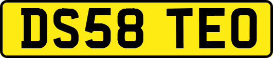 DS58TEO