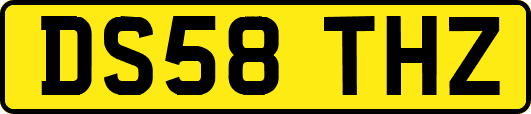 DS58THZ