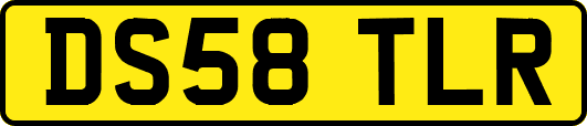 DS58TLR