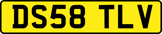 DS58TLV