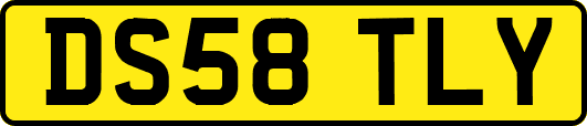 DS58TLY