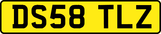 DS58TLZ