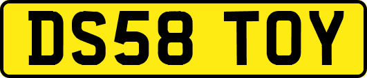 DS58TOY