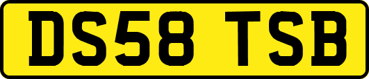 DS58TSB