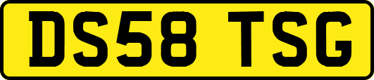 DS58TSG