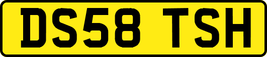 DS58TSH