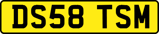 DS58TSM