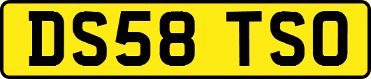 DS58TSO